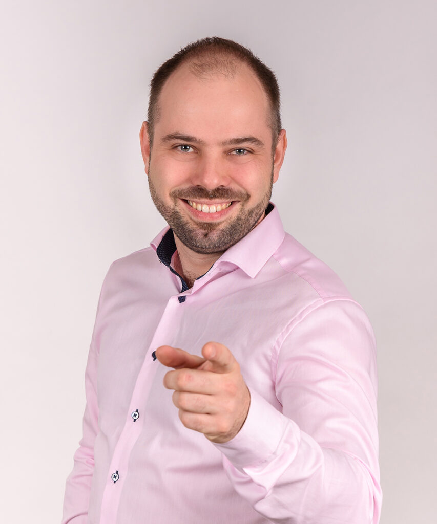 Mizsei Viktor, Informatikai és üzleti tanácsadó
