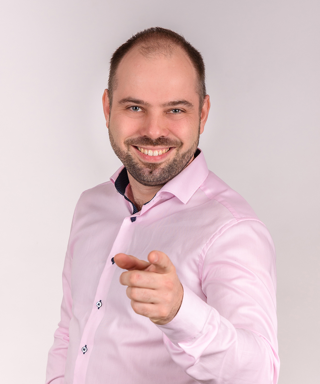 Mizsei Viktor, Informatikai és üzleti tanácsadó